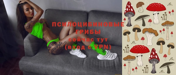 гидра Нефтекумск