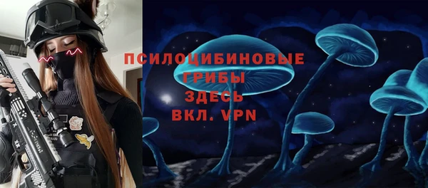 синтетический гашиш Новозыбков