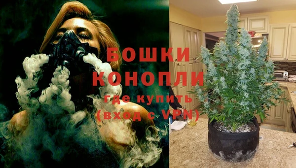 гашик Нея
