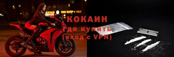 гашик Нея