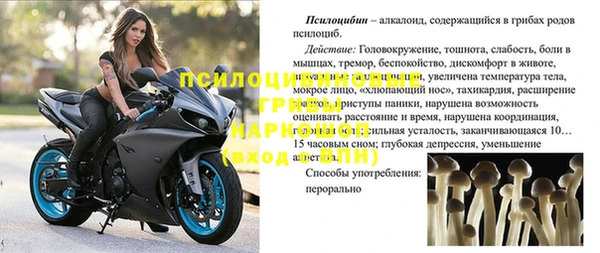 амфетамин Новодвинск