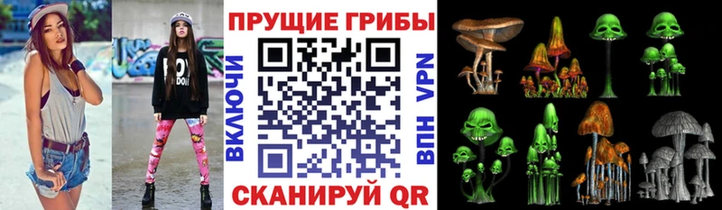 Псилоцибиновые грибы прущие грибы  Кировск 