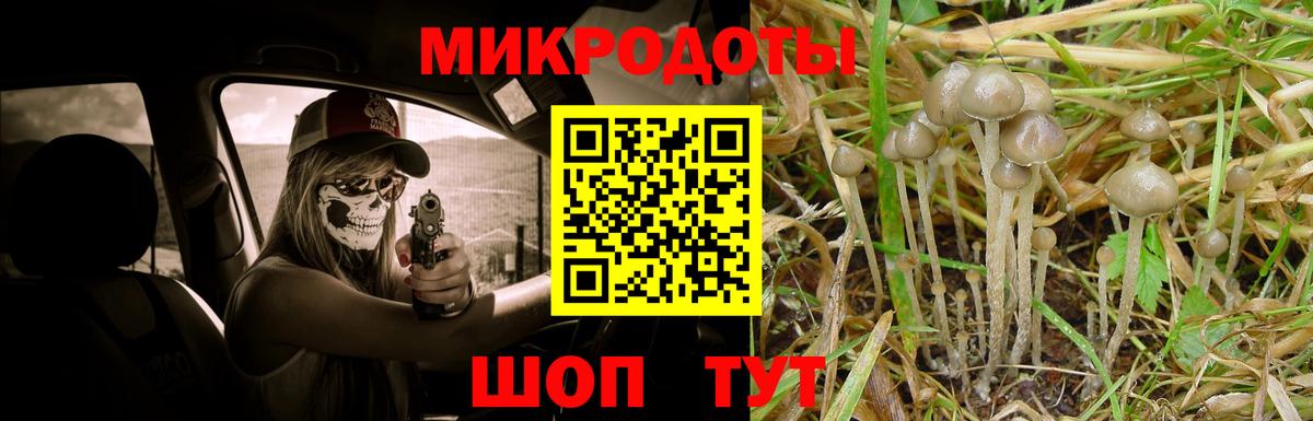 Псилоцибиновые грибы Psilocybine cubensis  Вход с VPN  Кировск 