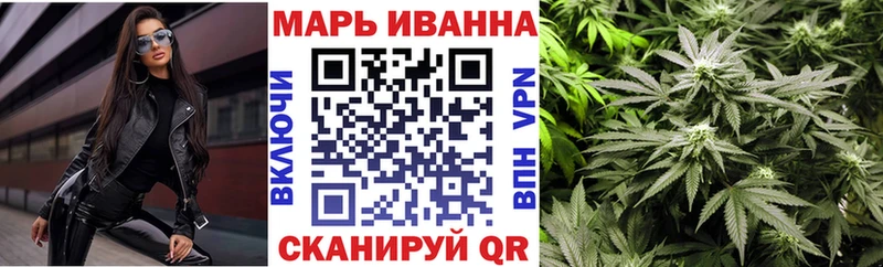 наркота  Кировск  Конопля сатива 